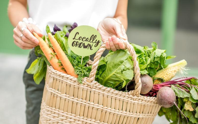 someone holding a basket of vegetables