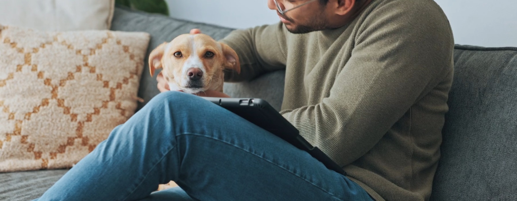 a person sitting on a couch with a dog and tablet